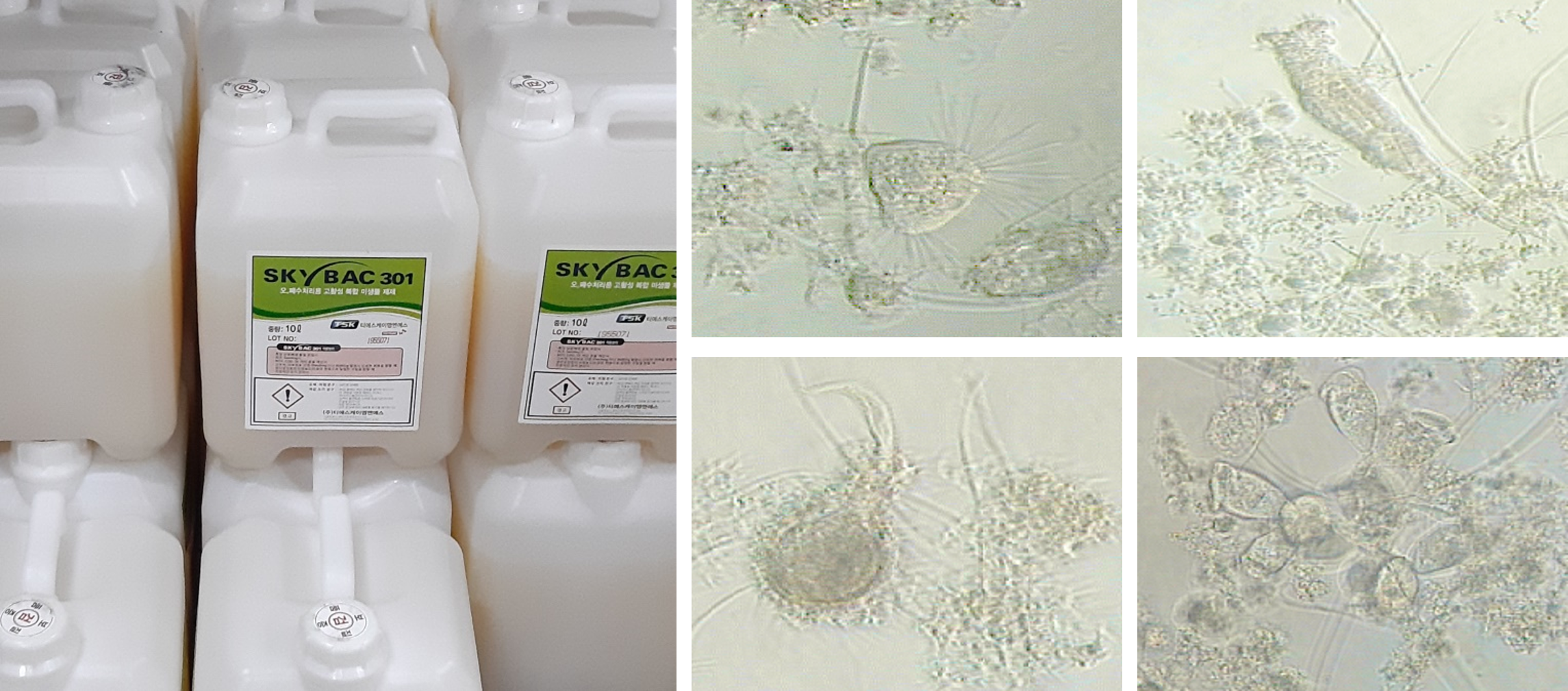 미생물 종균제 적용 및 효과